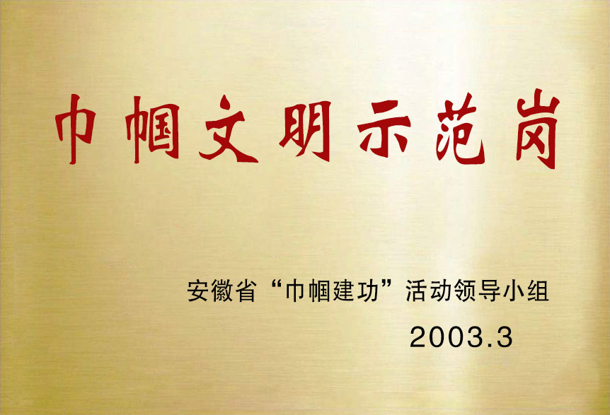 2003巾幗文明示范崗